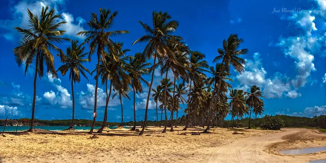 Playa Macao