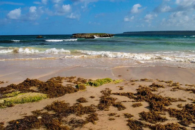 Boca de Yuma