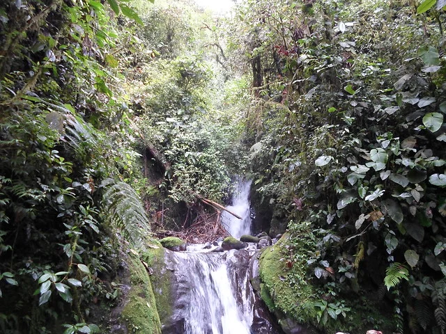 Cascadas de Nambilla