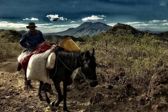 Avenida de los Volcanes
