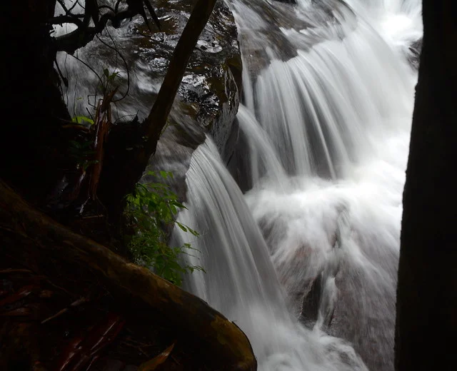Descubrimiento Baños