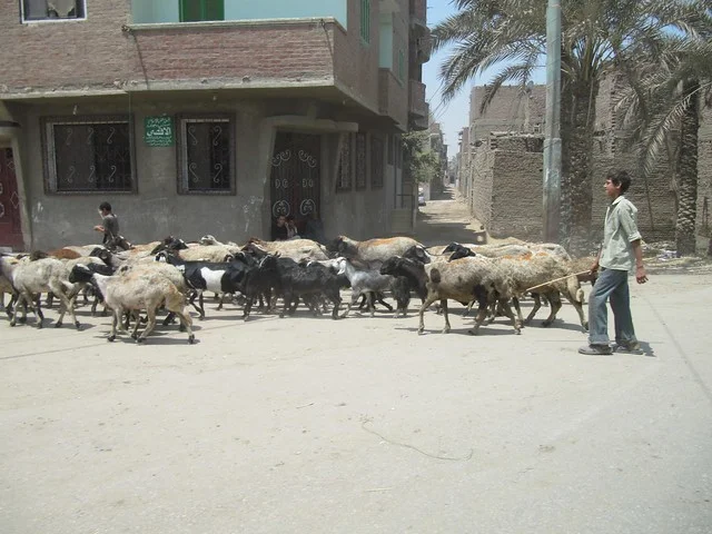 Dahshur
