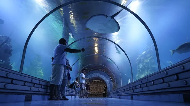 Acuario Grande de Hurghada