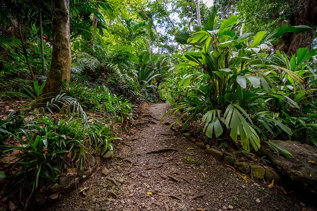 Jardín del Gigante Dormido