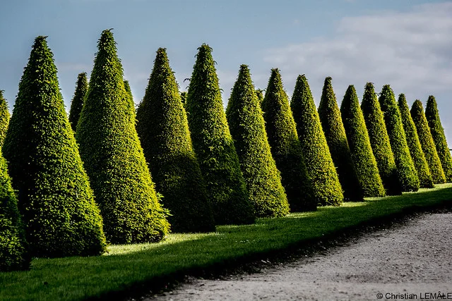 Jardines de Versalles