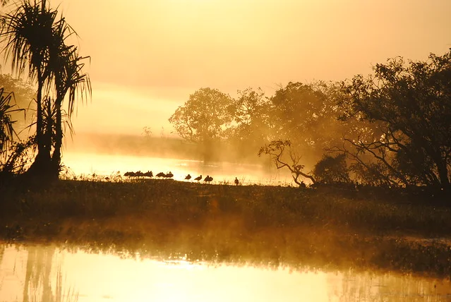 Parque Nacional Kakadu
