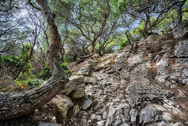 Parque Nacional de las Calanques