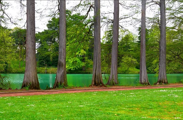 Parque de la Tête d'Or