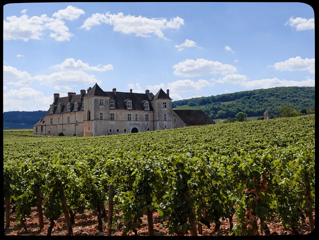 Clos de Vougeot