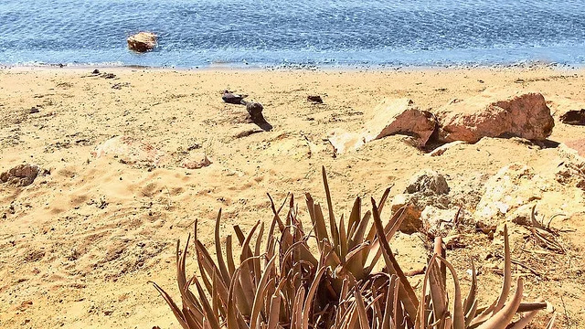 Playa de Glyfada