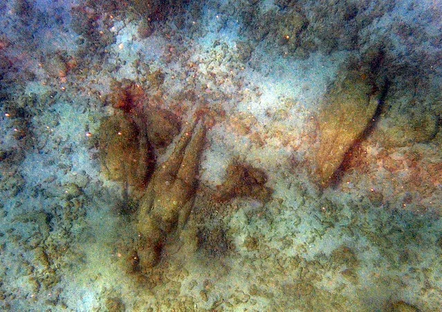 Parque Escultórico Subacuático de Molinière