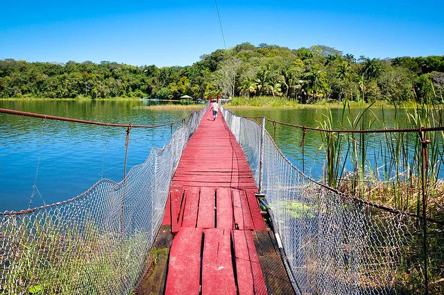 Bosque de Petén