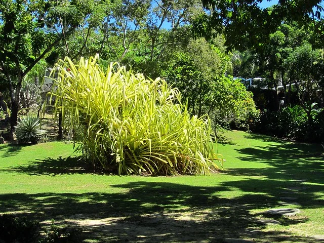 Parque Gumbalimba