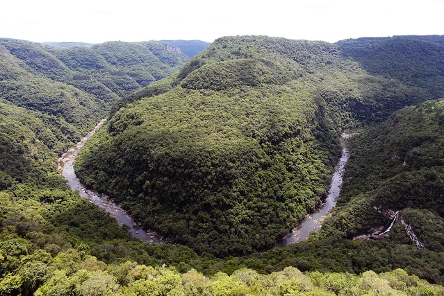 Valle de los Gigantes