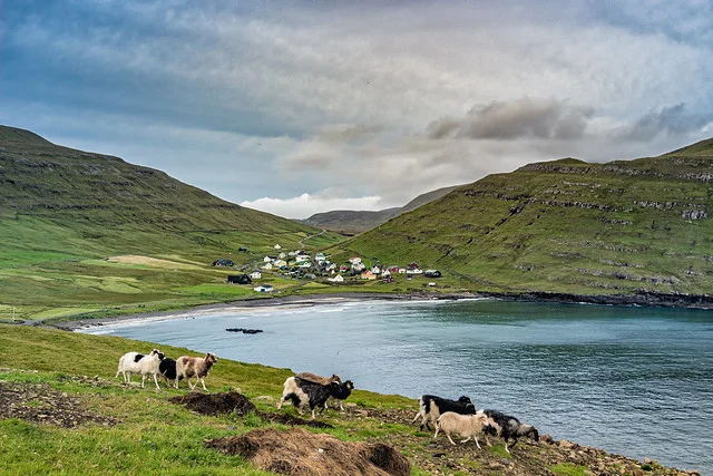 Húsavík