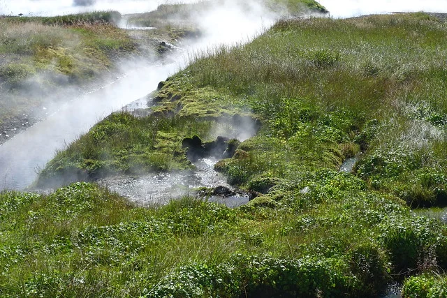 Fuente térmica Deildartunguhver
