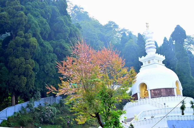 Pagoda Japonesa de la Paz