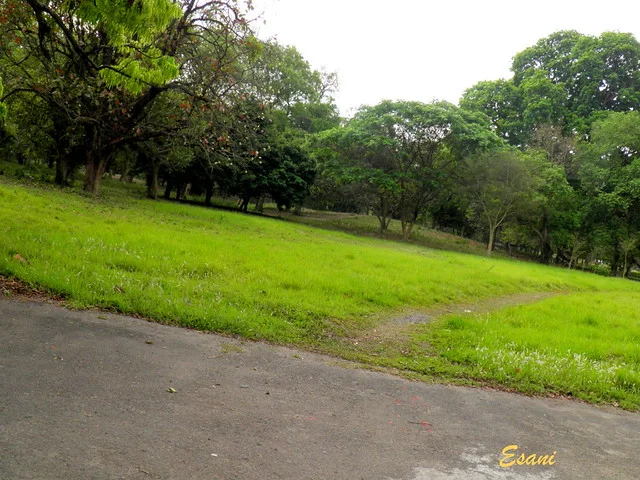 Jardines Botánicos Indios Acharya Jagadish Chandra Bose