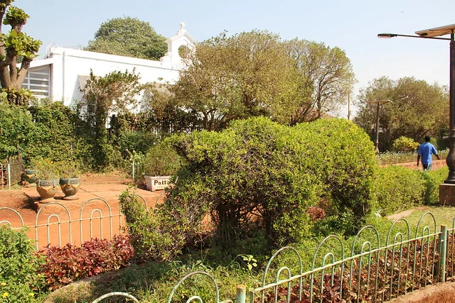 Jardines Colgantes (Ferozeshah Mehta)