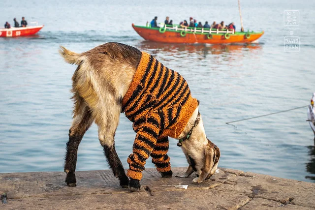 Ghats de Varanasi (Ghats de Banaras)