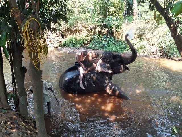 Granja de Especias Sahakari