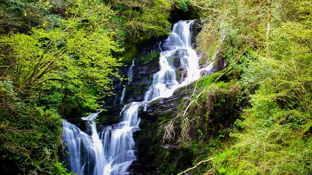 Cascada Torc