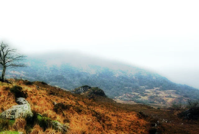 Mirador de las Damas