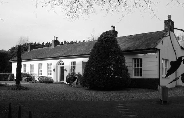 Experiencia en la Destilería de Midleton