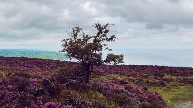 Knocknarea