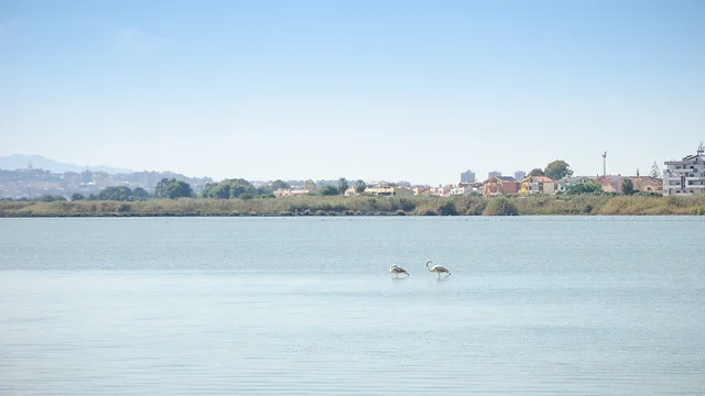 Parque Regional Natural Molentargius-Salinas