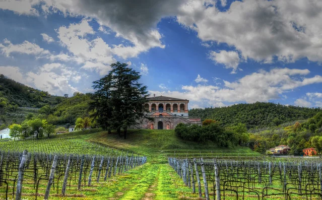 Villa dei Vescovi
