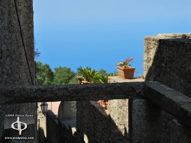 Erice