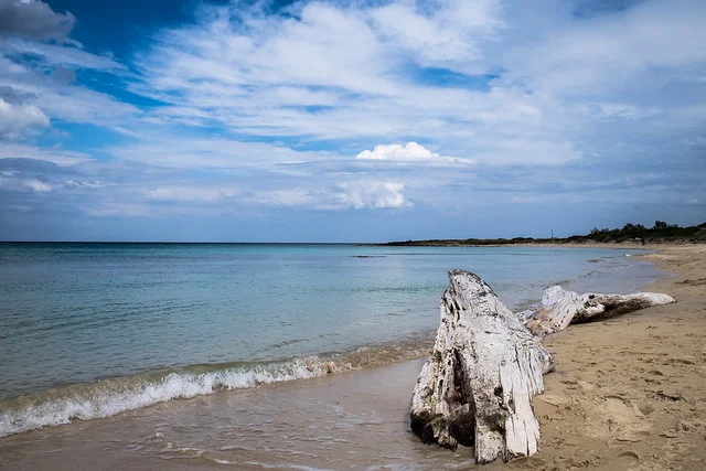 Torre Guaceto