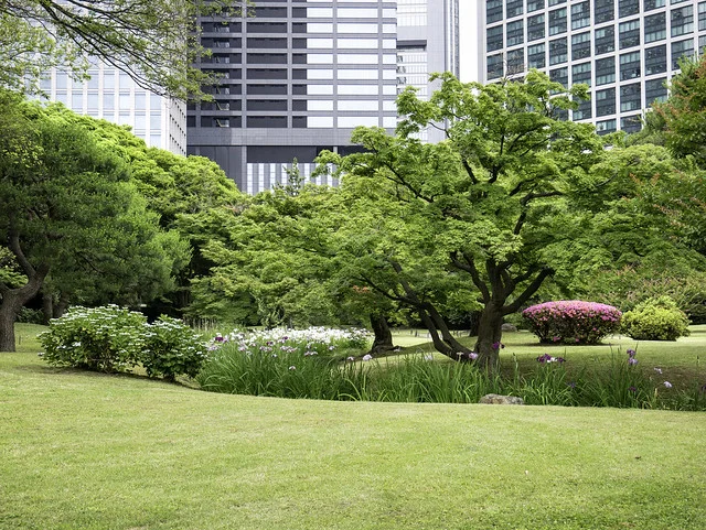 Jardines Hama Rikyu