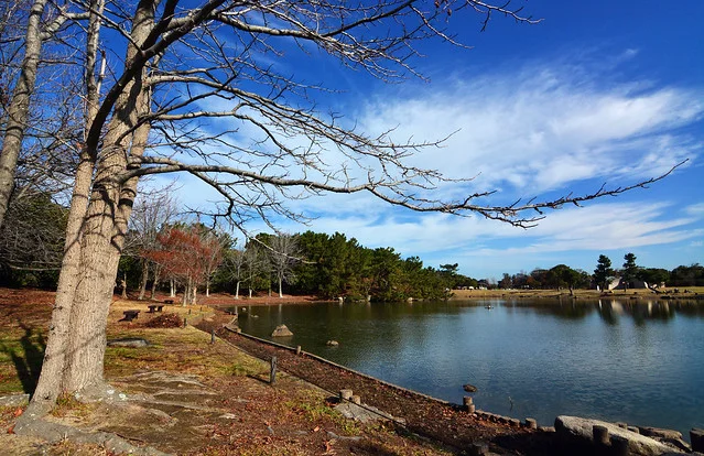 Parque Costero Uminonakamichi