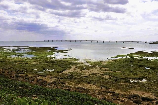 Isla Senaga (Senagajima)