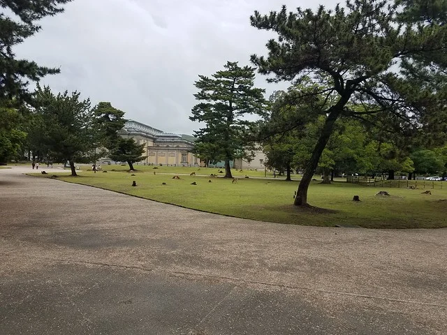 Parque de Nara