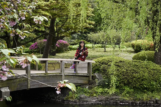 Parque Shinjuku (Shinjuku Gyoen)