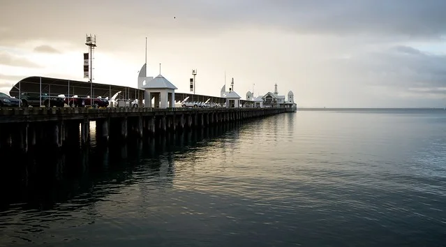 Muelle Cunningham