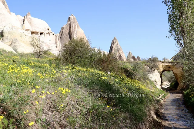 Valle de las Rosas