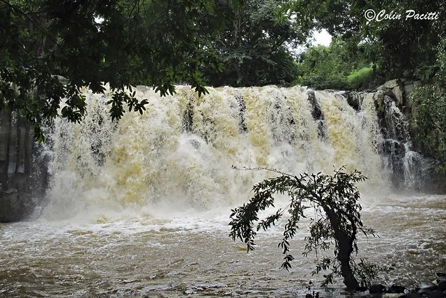 Distrito de Savanne