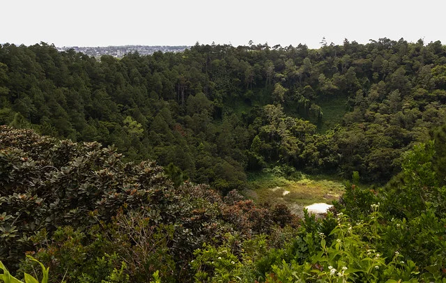 Volcán Trou aux Cerfs