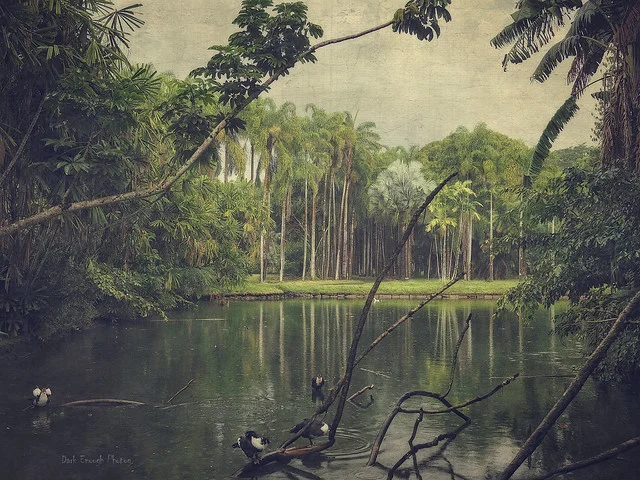 Jardín Botánico Sir Seewoosagur Ramgoolam