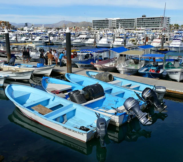 Marina Cabo San Lucas