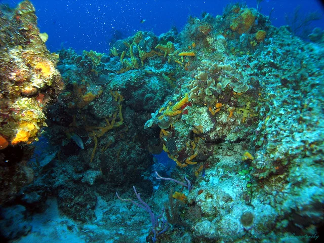 Arrecife Palancar