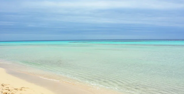 Arrecife del Paraíso