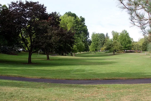 Parque Ventura