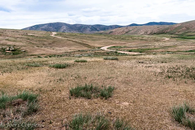 Parque Nacional Hustai (Parque Nacional Khustain)
