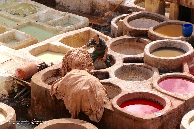 Medina de Fez (Fes el-Bali)