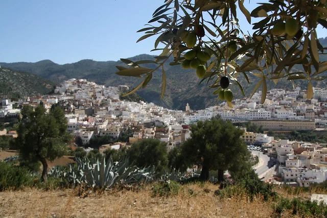 Moulay Idriss